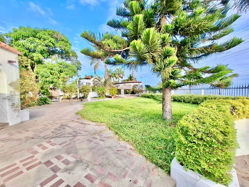 MILINA: 1,200 M2 CORNER PROPERTY ON THE BEACHFRONT WITH A SWIMMING POOL  — photo 8
