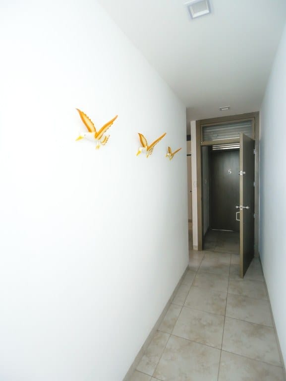 SAN LORENZO: GORGEOUS BEACHFRONT APARTMENT WITH A POOL, GYM, AND ROOFTOP — photo 13