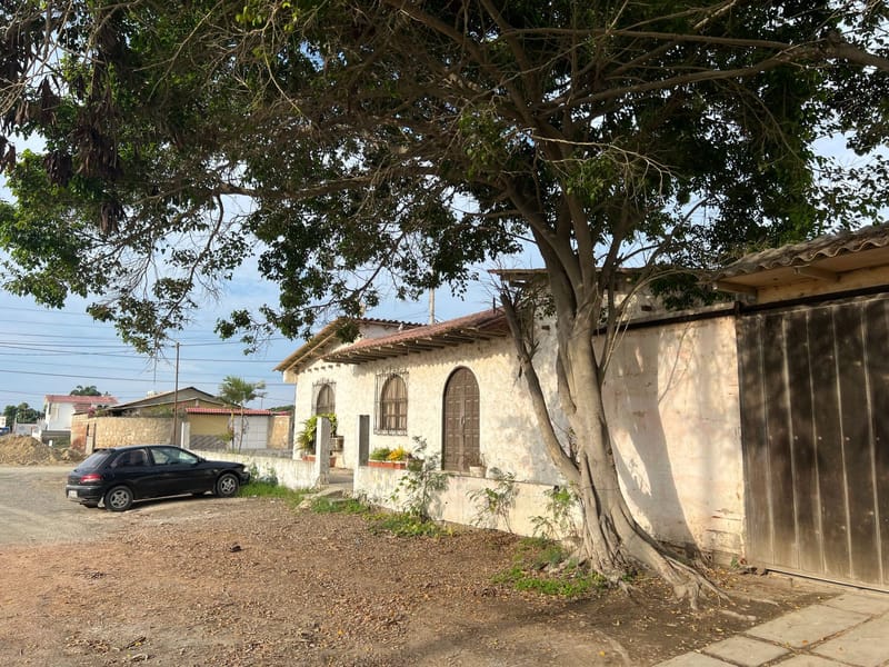 MILINA: CORNER LOT WITH A HOUSE AND A SWIMMING POOL, 3 BLOCKS FROM THE OCEAN — photo 4
