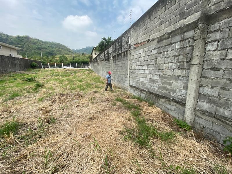 CEIBOS: 1.000 M2 CON PROYECTO LISTO Y MARAVILLOSA VISTA — foto 3