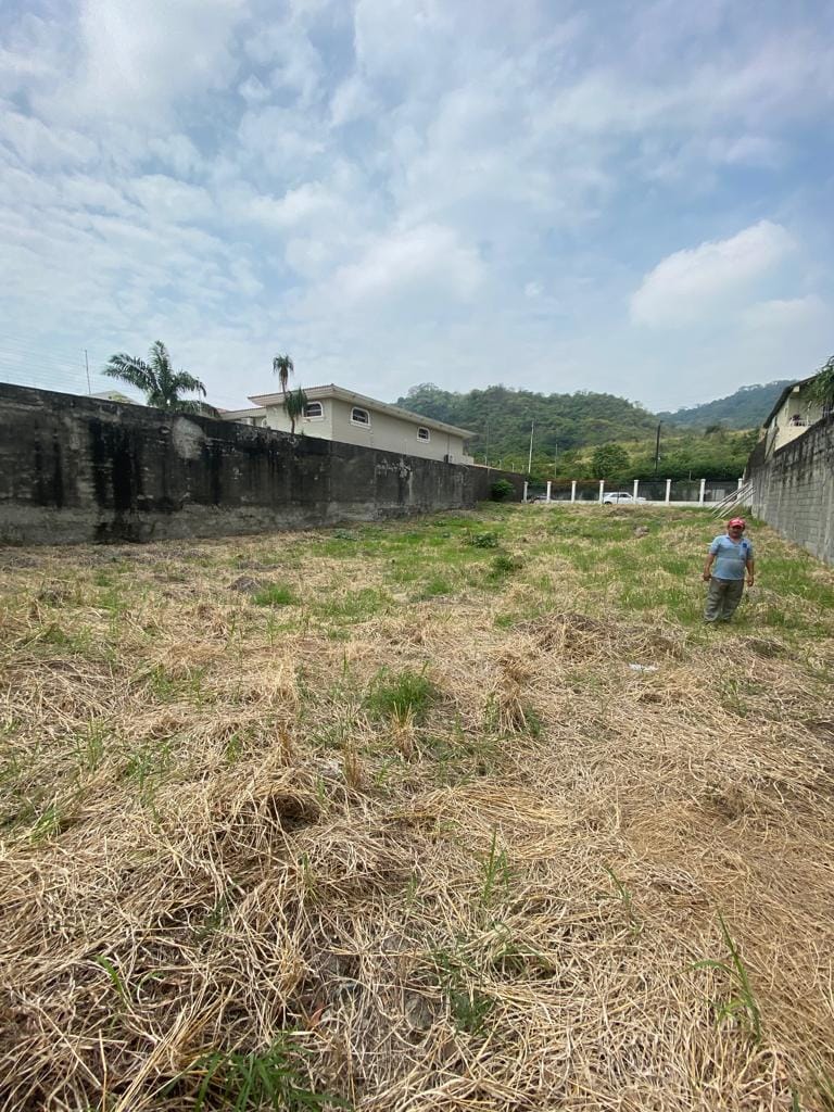 CEIBOS: 1.000 M2 CON PROYECTO LISTO Y MARAVILLOSA VISTA — foto 2
