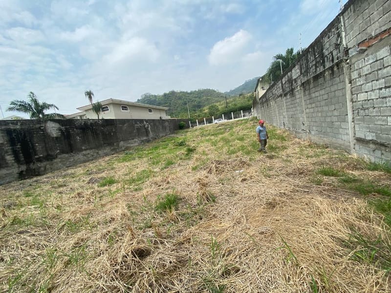 CEIBOS: 1.000 M2 CON PROYECTO LISTO Y MARAVILLOSA VISTA — foto 8