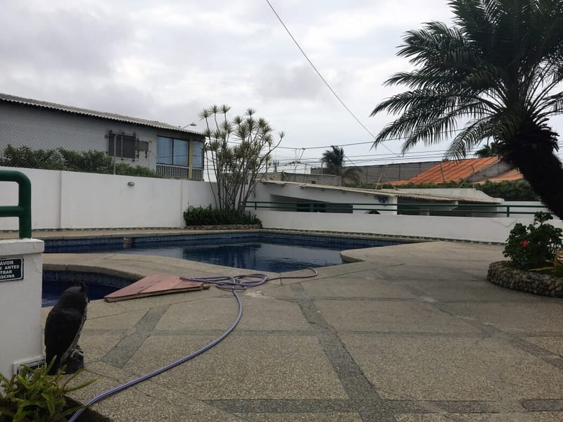 SAN LORENZO: PRIMER PISO 4/3 CON PISCINA A 2 CUADRAS DEL MAR — foto 25